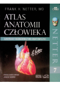 Atlas anatomii człowieka