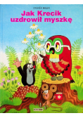 Jak Krecik uzdrowił myszkę
