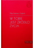 W tobie jest źródło życia Tom XIII
