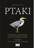 Ptaki