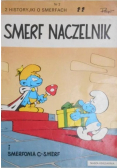 Smerf naczelnik