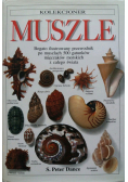 Muszle