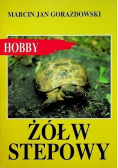 Żółw stepowy