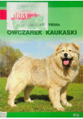 Owczarek Kaukaski