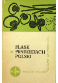 Śląsk w pradziejach Polski