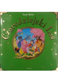 Czarodziejski Las