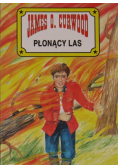 Płonący las