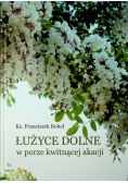 Łużyce dolne w porze kwitnącej akacji