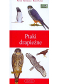 Ptaki drapieżne. Przewodnik