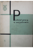 Podział pracy w socjalizmie