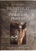 Heartbeat of the Primeval Forest