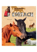 O koniach
