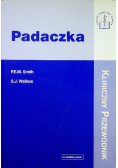 Padaczka