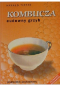 Kombucza Cudowny grzyb