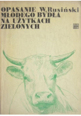 Opasanie młodego bydła na użytkach zielonych