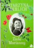 Ziele Marianny