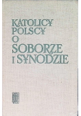 Katolicy polscy o soborze i synodzie