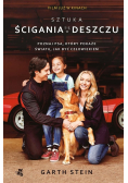 Sztuka ścigania się w deszczu