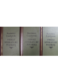 Obraz literatury polskiej 3 tomy reprinty z ok 1936 roku