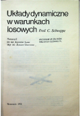Układy dynamiczne w warunkach losowych