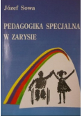 Pedagogika specjalna w zarysie