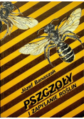 Pszczoły i zapylanie roślin