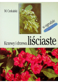 Krzewy i drzewa liściaste w ogrodzie