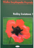 Rośliny Kwiatowe 1