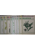 Wiadomości zielarskie 12 numerów