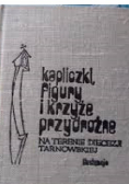 Kapliczki figury i krzyże przydrożne