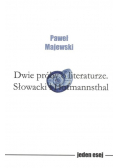 Dwie próby o literaturze