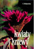 Kwiaty i krzewy