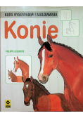 Kurs rysowania i malowania Konie