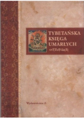 Tybetańska księga umarłych
