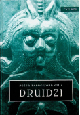 Druidzi