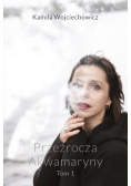Przeźrocza Akwamaryny Tom 1