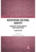 Negotiating Cultural Identity