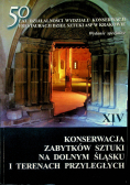 Konserwacja zabytków sztuki na dolnym śląsku i terenach przyległych