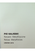 Notatki metafizyczne