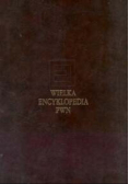 Wielka encyklopedia PWN Tom 17