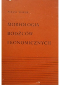 Morfologia bodźców ekonomicznych
