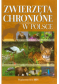 Zwierzęta chronione w Polsce