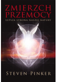 Zmierzch przemocy