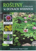 Rośliny w oczkach wodnych