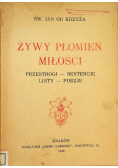 Żywy płomień miłości 1939 r.