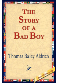 The Story of a Bad Boy