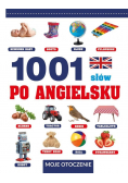 1001 słów po angielsku Moje otoczenie / Niewiarygodne od kropki do kropki Nowa