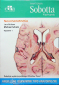 Anatomia Sobotta Flashcards Neuroanatomia