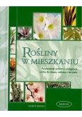 Rośliny w mieszkaniu