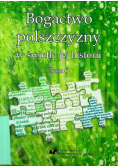 Bogactwo polszczyzny w świetle jej historii tom 6